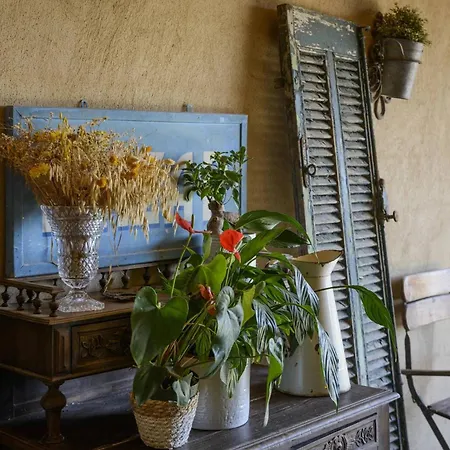 Bastide Dou Pastre Family Friendly House Villa *
